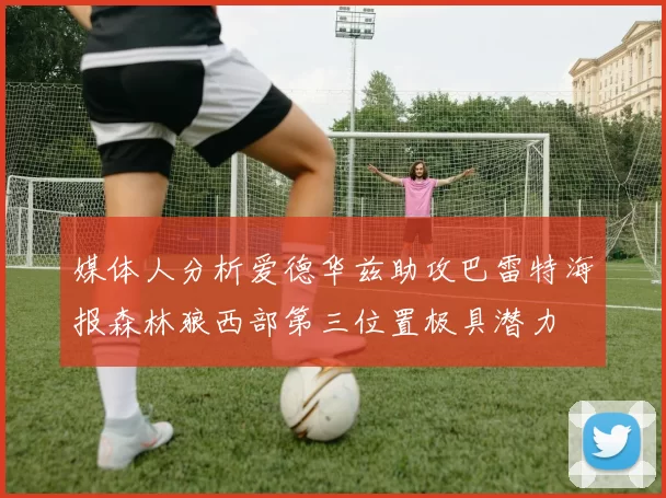 媒体人分析爱德华兹助攻巴雷特海报森林狼西部第三位置极具潜力